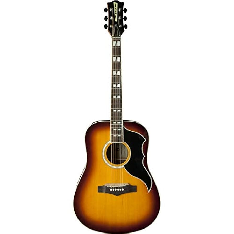 Eko Ranger 6 アコースティックギター Amazon | EKO Ranger 6 Vintage Reissue Black アコースティック